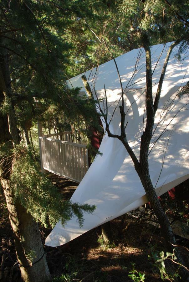 La Locanda del Barbagianni Santa Luce Exterior foto